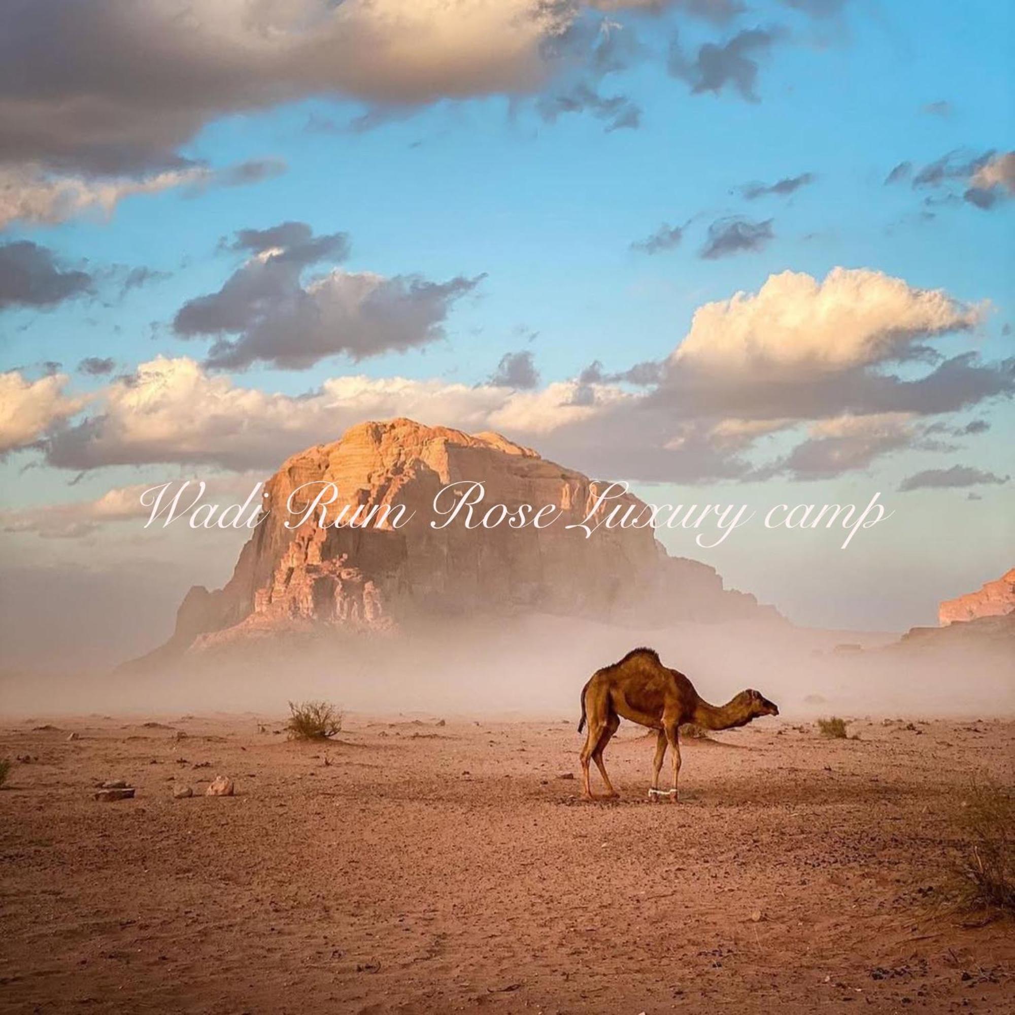Wadi Rum Rose Luxury Camp Exterior foto